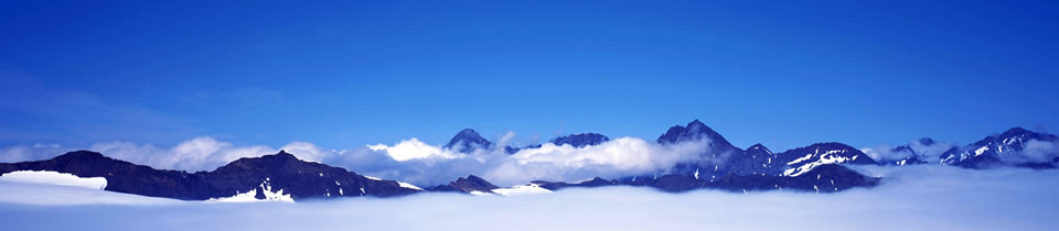 aaa